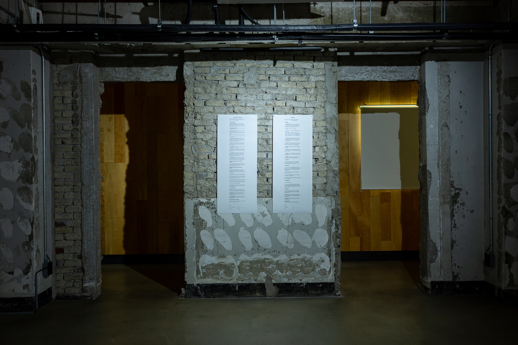 작품 Particles의 한 장면