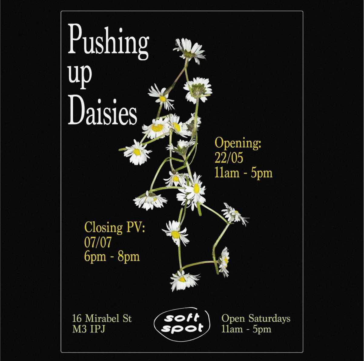 Pushing Up Daisies poster